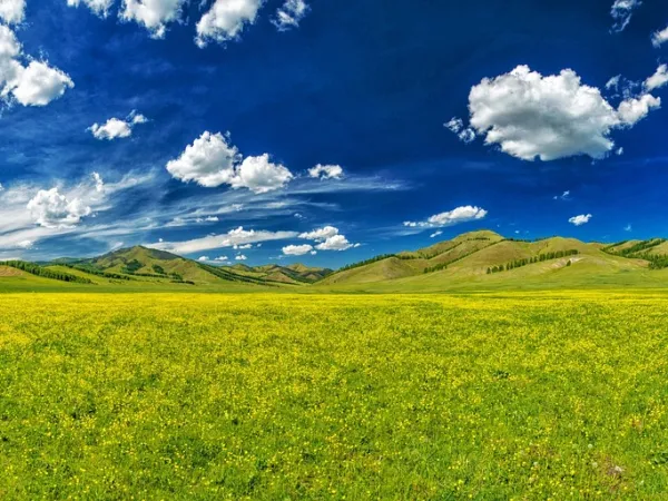 Wiesenpanorama-Landschaft mit Bergen und viel blauem Himmel - Weite mit Wölkchen